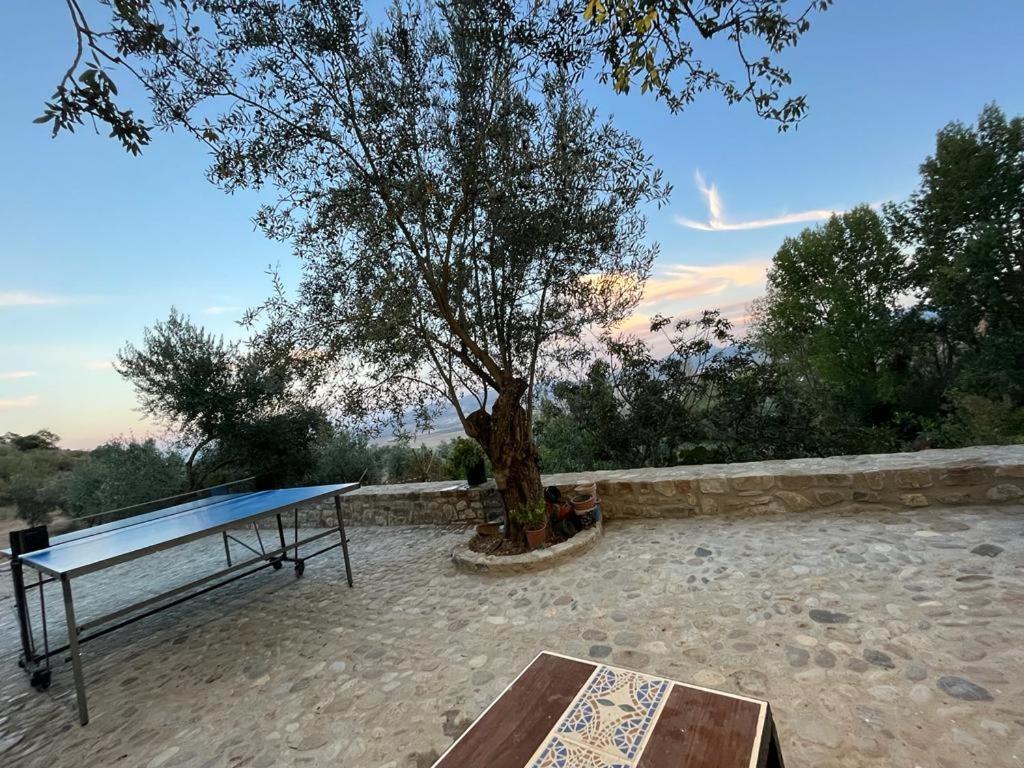 Casa De Campo Fuencaliente, Entorno Natural, Chimenea, Piscina Canete la Real Buitenkant foto